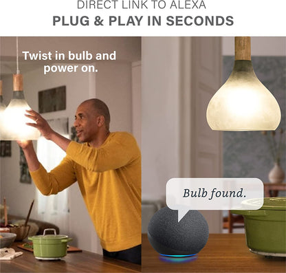LED Smart Light Bulb, Alexa Compatible