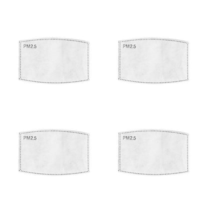 PM 2.5 Filter Inserts (Kids)